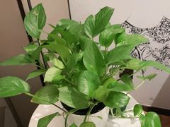 -宴昆山·私房菜(春晖店)