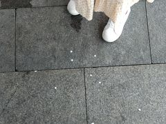 -蜜雪冰城·冰激凌与茶(瑞安吾悦店)
