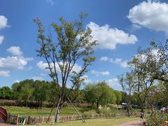 -嘉北郊野公园