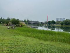 -桂溪生态公园
