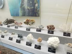 -甘肃地质博物馆