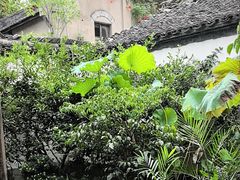 -院子餐厅·大锅菜·老杭帮(桥西直街店)