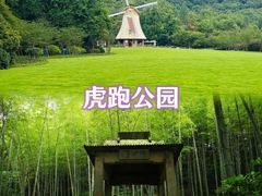 -虎跑公园