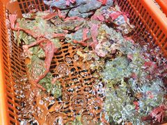 -巽寮印象美食部落餐厅·海鲜·地方特色菜(惠州体验店)