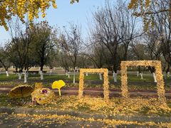 -成都中医药大学(温江校区)