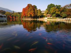 -广州市白云山风景名胜区