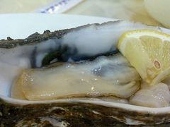 -吉香碳烤生蚝(仙霞路店)