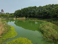 -美兰湖景区