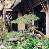 杭州新荣记#西溪湿地#