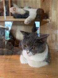 -青木造型HAIR·あおき髪を刈る潮人店