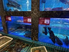 -潮州府·潮菜·砂锅粥(徐家汇店)
