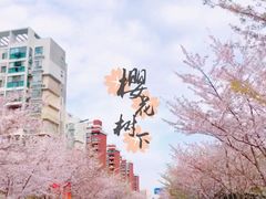 -高东镇樱花园