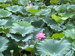 -北京天湖会议中心