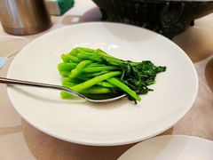 -食神鱼头佛跳墙(百子湾旗舰店)