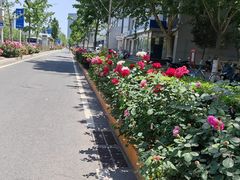 -西海子公园