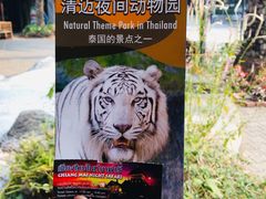 -清迈夜间动物园