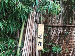 -天水蔬食料理(树德之光店)