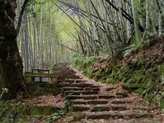 -会稽山峡洞漂流-上青古道