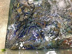 -渔民新村(番禺总店)