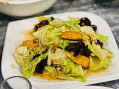 白菜木耳爆豆腐-同发号饭庄(复兴路店)