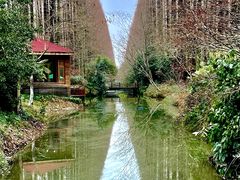 -上海怡沁园度假酒店