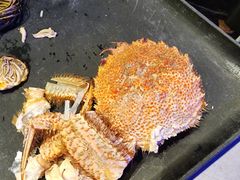 -奔海甄选·活鲜刺身铁板烧自助(太原里店)