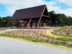 -上海滨江森林公园