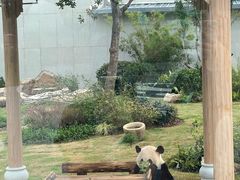 -无锡动物园·太湖欢乐园