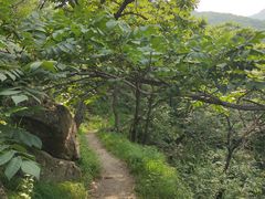 -阳台山自然风景区