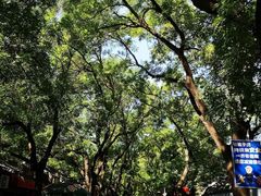 -北京国子监胡同