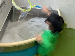 -爱睿思儿童早教亲子游泳(万象城店)