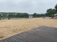 -大兴滨河森林公园