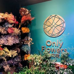 -Oasis Beauty水磨坊科技美肤中心