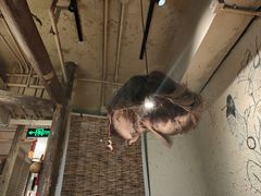 -泥糊破店小酒馆·团建聚餐(南京西路店)