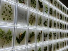 -广东中医药博物馆