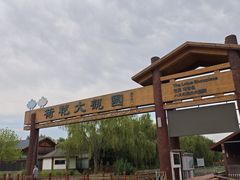 -白洋淀景区