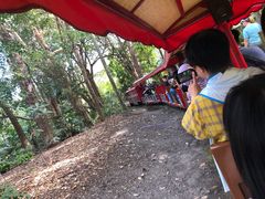 -可伦宾野生动物保护区