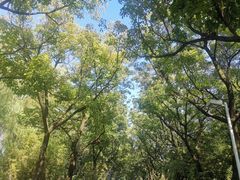 -白塘生态植物园