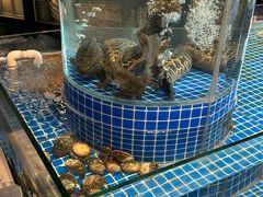 -老灶堂文创火锅(文艺路店)