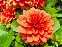 -新加坡万豪董厦酒店