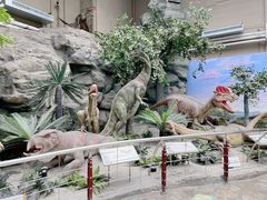 -国家自然博物馆