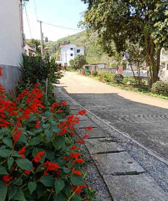 龙潭肖村-"交通:坐落在铜陵市义安区,附近有新四军旧.