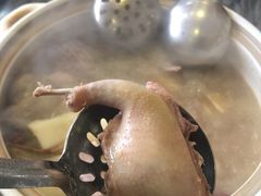 五指毛桃药膳乳鸽-鸽鸟轩(石岐店)
