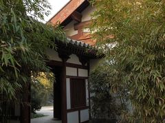 景点-西安青龙寺遗址景区