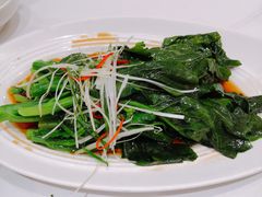 -眉州东坡(中关村店)
