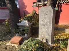 -活死人墓