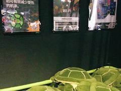 -VS SPORTS PARK运动玩乐园·团建·生日会(合生汇店)