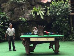 -新加坡飞禽公园