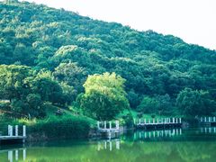 -龙寺生态园