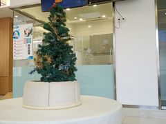 -天使口腔门诊部(上海店)